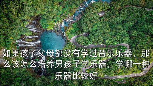 如果孩子父母都沒有學過音樂樂器，那么該怎么培養男孩子學樂器，學哪一種樂器比較好