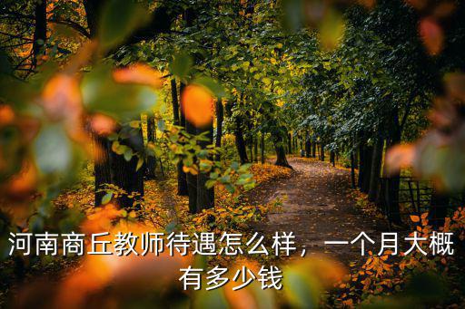 商丘一高費多少錢一個月,一個月大概有多少錢
