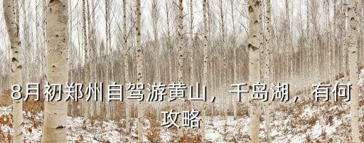鄭州去黃山玩多少錢,8月初鄭州自駕游黃山
