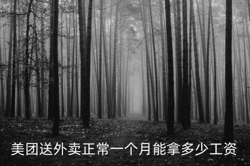 美團(tuán)送外賣正常一個月能拿多少工資