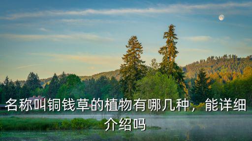 洛陽哪里有銅錢草,名稱叫銅錢草的植物有哪幾種