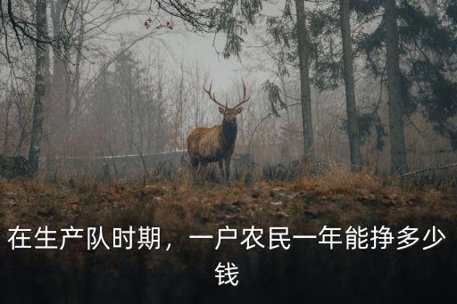 在生產隊時期，一戶農民一年能掙多少錢