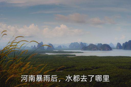 河南下大暴雨都在哪里,水都去了哪里