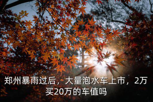 鄭州暴雨過后，大量泡水車上市，2萬買20萬的車值嗎