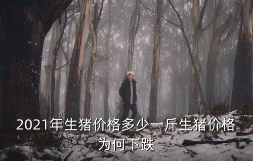 2021年生豬價格多少一斤生豬價格為何下跌