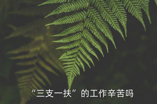 “三支一扶”的工作辛苦嗎