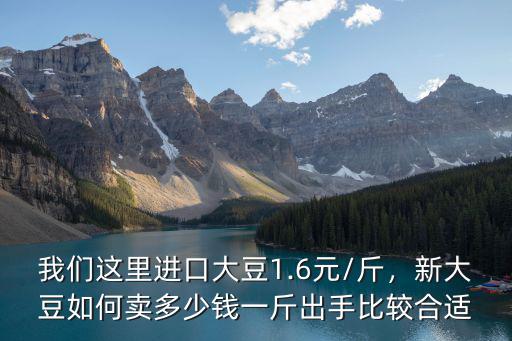 我們這里進(jìn)口大豆1.6元/斤，新大豆如何賣多少錢一斤出手比較合適