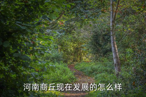 河南商丘現在發展的怎么樣