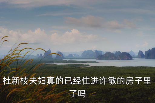 杜新枝夫婦真的已經住進許敏的房子里了嗎