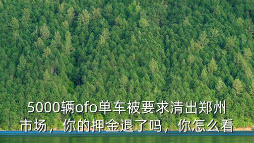 鄭州市小黃車怎么退押金,Ofo小黃車怎么退押金