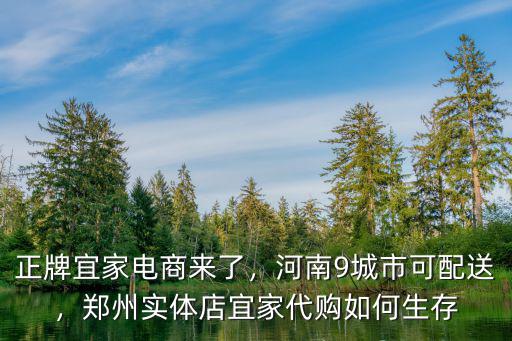 鄭州代購實體店有多少錢,鄭州實體店宜家代購如何生存