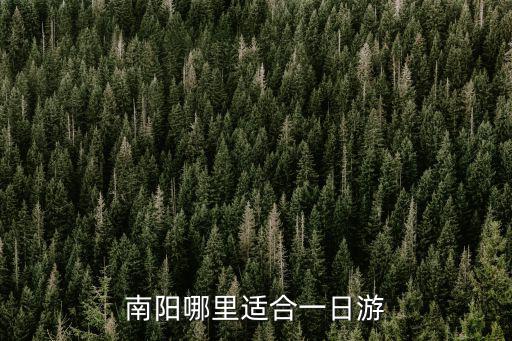 南陽哪里有賣生的羊拐筋,南陽市區有哪些好吃的美食
