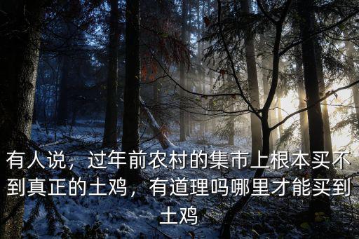 有人說，過年前農村的集市上根本買不到真正的土雞，有道理嗎哪里才能買到土雞