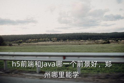 鄭州培訓前端哪里好,鄭州前端培訓哪家好