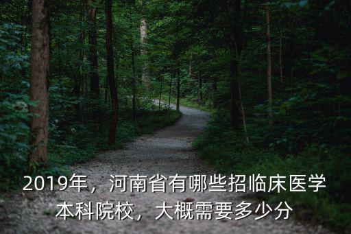 鄭州大學臨床醫學多少分,鄭州大學臨床醫學能沖A嗎