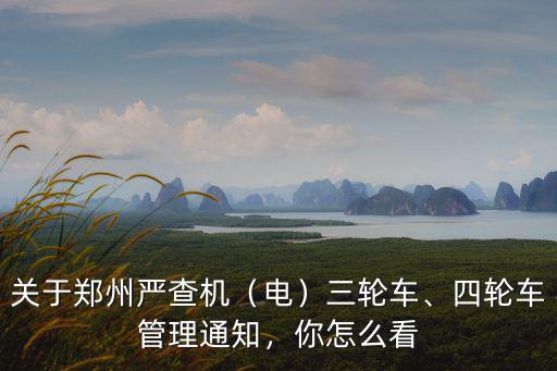 河南鄭州查電三輪怎么處理,河南鄭州80萬輛電動三