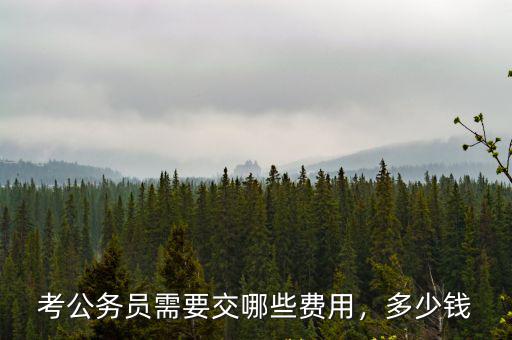 河南公務員報名費用是多少,考公務員需要交哪些費用