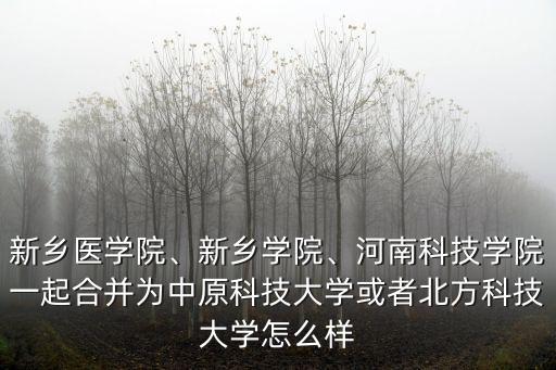 新鄉醫學院、新鄉學院、河南科技學院一起合并為中原科技大學或者北方科技大學怎么樣