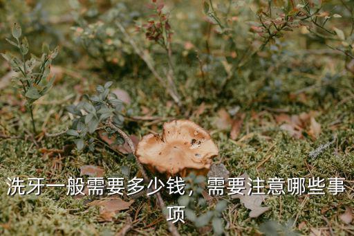洗牙一般需要多少錢，需要注意哪些事項
