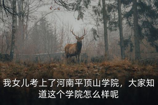 我女兒考上了河南平頂山學院，大家知道這個學院怎么樣呢