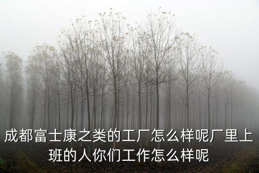富士康鄭州港區上班怎么樣,鄭州富士康怎么樣