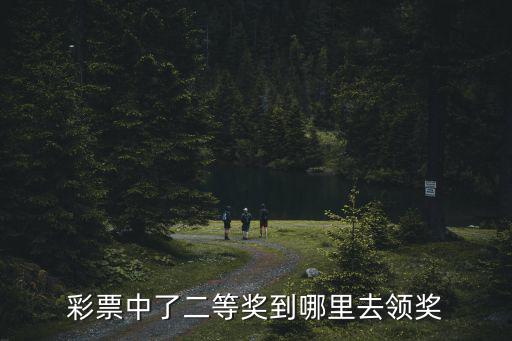 在河南中了彩票一等獎去哪里兌獎,彩票中了一等獎