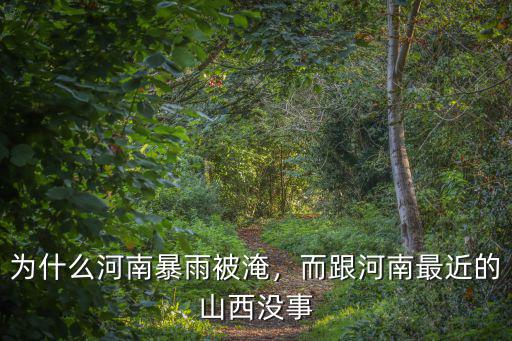 河南黃河淹了怎么辦,為什么河南暴雨被淹