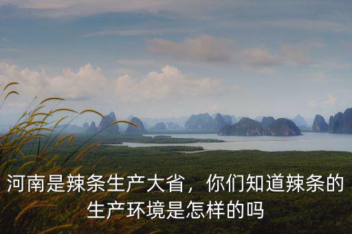 河南是辣條生產(chǎn)大省，你們知道辣條的生產(chǎn)環(huán)境是怎樣的嗎