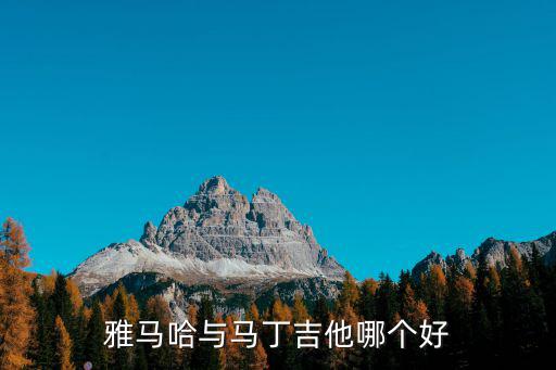 河南去哪里買馬丁吉他,雅馬哈與馬丁吉他哪個好