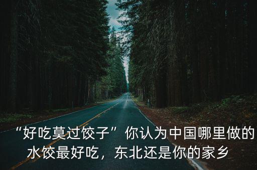 河南哪里的水餃最好吃,東北還是你的家鄉