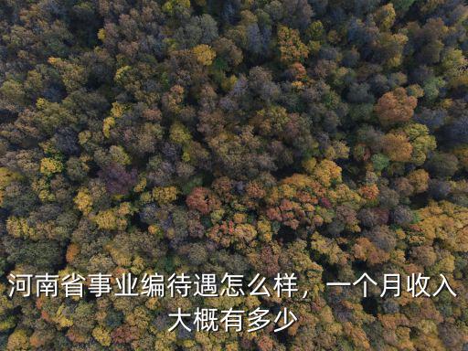 鄭州公安局一線待遇怎么樣,河南省事業編待遇怎么樣