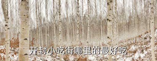 開封甜面醬哪里最好吃,開封小吃街哪里的最好吃