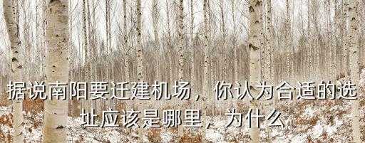 南陽機(jī)場哪里,你認(rèn)為合適的選址應(yīng)該是哪里