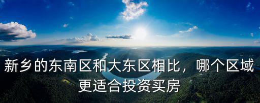 新鄉的東南區和大東區相比，哪個區域更適合投資買房
