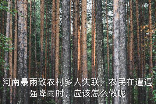 河南暴雨致農村多人失聯，農民在遭遇強降雨時，應該怎么做呢