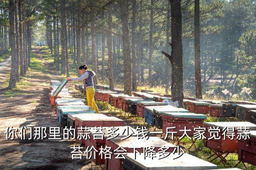 你們那里的蒜苔多少錢一斤大家覺得蒜苔價格會下降多少