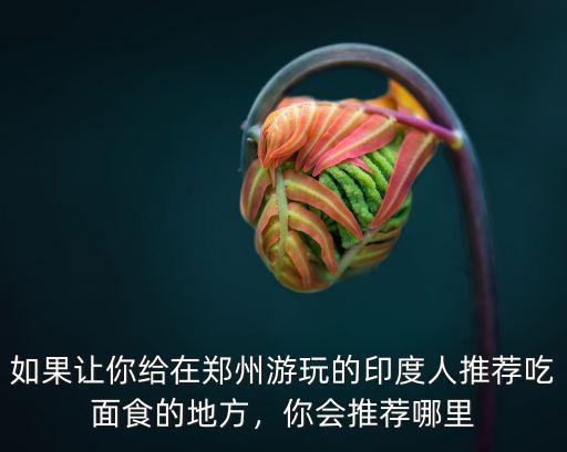 如果讓你給在鄭州游玩的印度人推薦吃面食的地方，你會(huì)推薦哪里