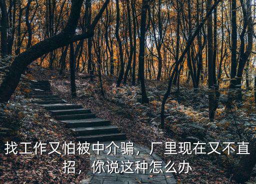 鄭州招聘怎么不被中介騙,求職怎么避免被騙呢
