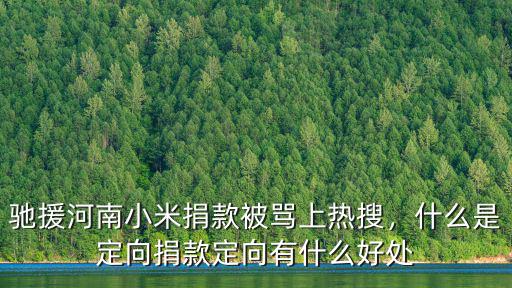 回力捐款馳援河南多少,馳援河南小米捐款被罵上熱搜