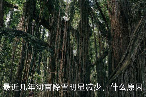 河南最近哪里下大雪了,4月10日河南還下了大雪