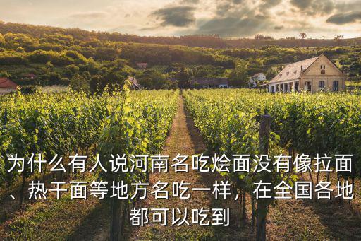 熱干面河南燴面怎么樣,武漢熱干面都全國暢銷