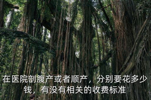 在醫院剖腹產或者順產，分別要花多少錢，有沒有相關的收費標準