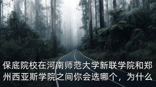 保底院校在河南師范大學(xué)新聯(lián)學(xué)院和鄭州西亞斯學(xué)院之間你會(huì)選哪個(gè)，為什么