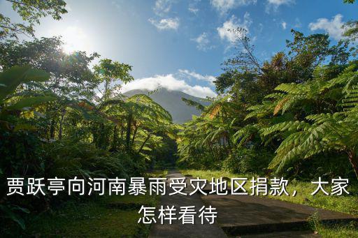 賈躍亭向河南暴雨受災地區捐款，大家怎樣看待