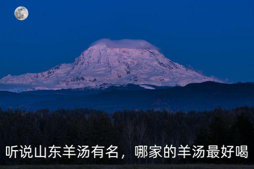 聽說山東羊湯有名，哪家的羊湯最好喝