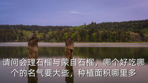 請問會理石榴與蒙自石榴，哪個好吃哪個的名氣要大些，種植面積哪里多