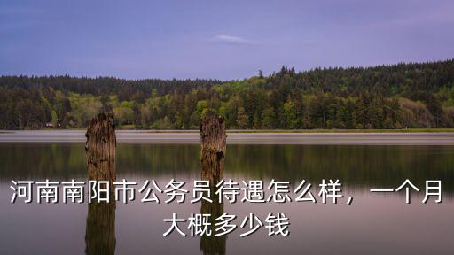 河南省南陽市的gdp是多少錢,一個月大概多少錢
