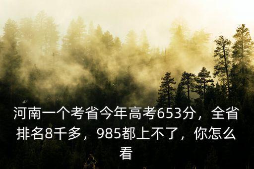 河南一個(gè)考省今年高考653分，全省排名8千多，985都上不了，你怎么看