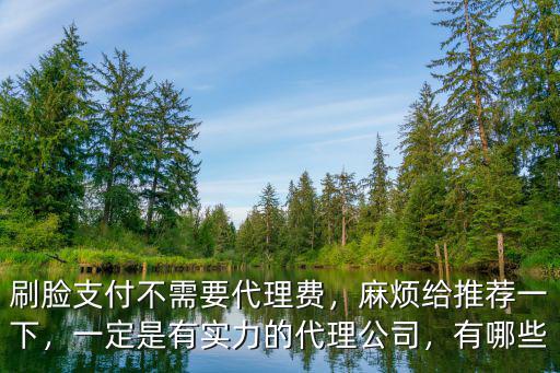 安陽哪里有刷臉支付公司,刷臉支付如何選擇公司
