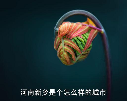 河南新鄉是個怎么樣的城市